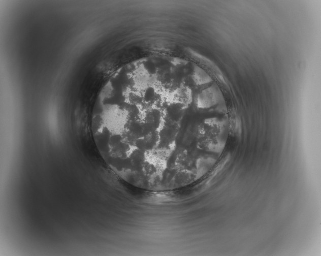 X0000101450573200807280942