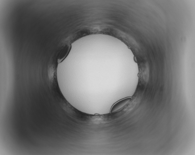 X0000101450574200807280942