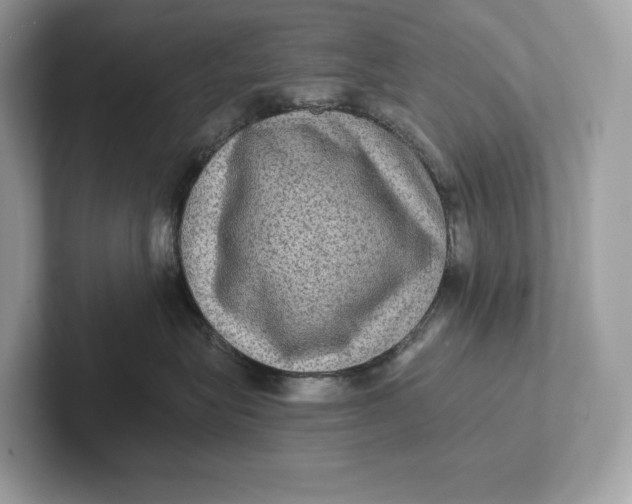 X0000101450575200807280942