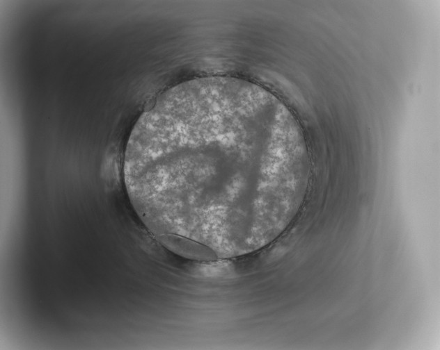 X0000101450576200807280942