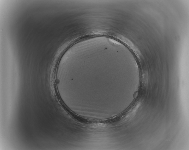 X0000101450577200807280941