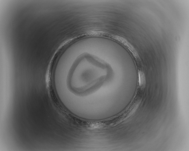 X0000101450579200807280941