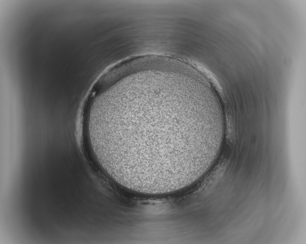 X0000101450580200807280941