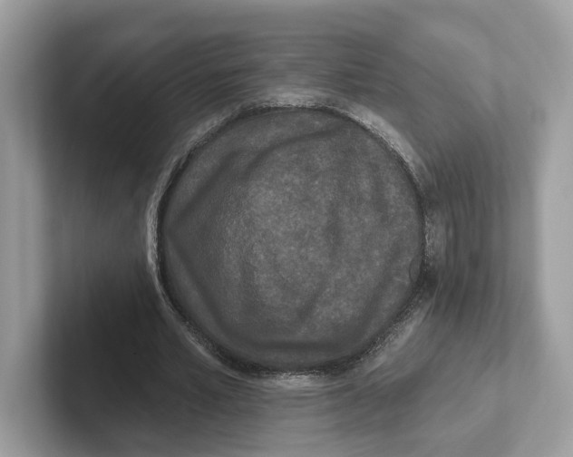 X0000101450581200807280941