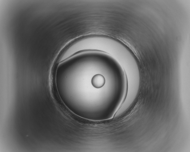 X0000101450584200807280941