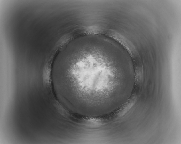 X0000101450585200807280941