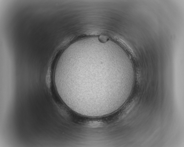 X0000101450586200807280941