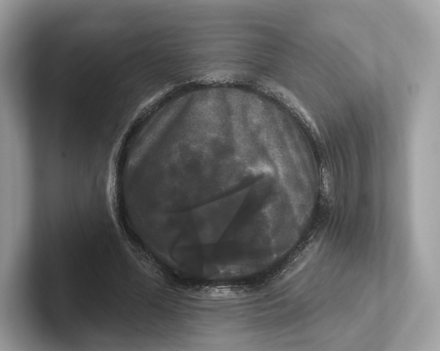 X0000101450588200807280941