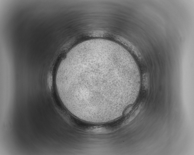 X0000101450589200807280941