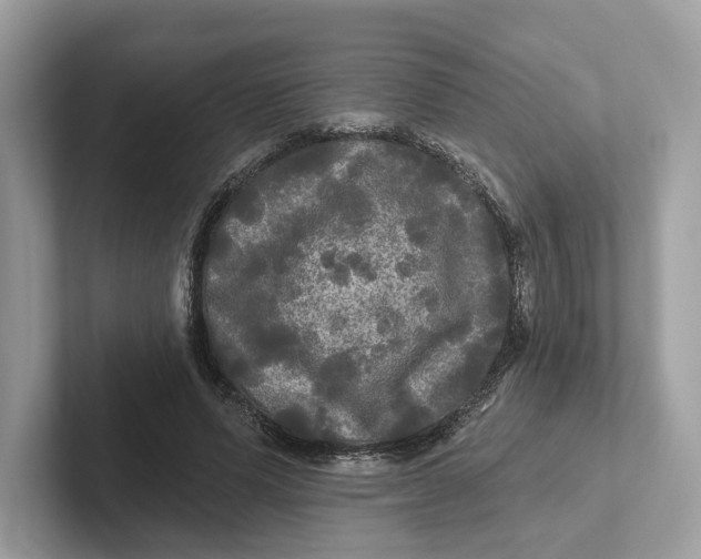 X0000101450591200807280941