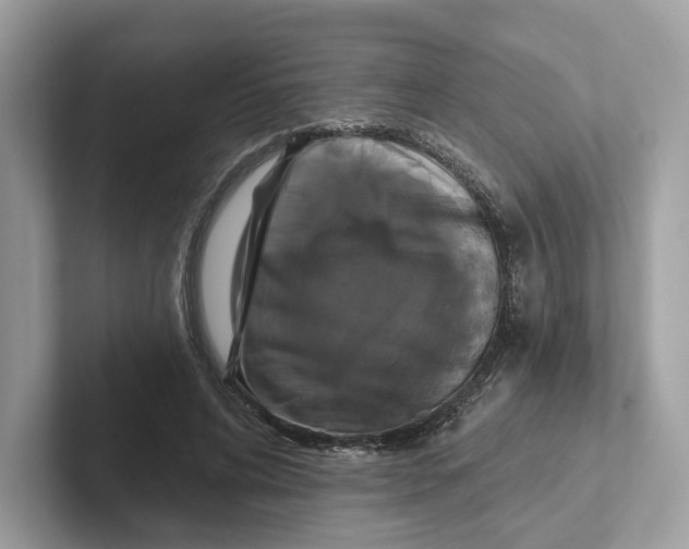 X0000101450592200807280941