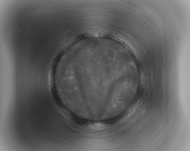 X0000101450594200807280941