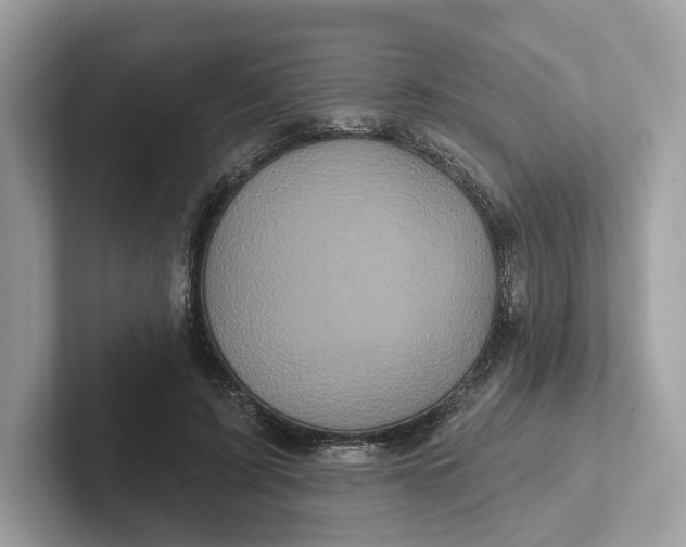 X0000101450595200807280941