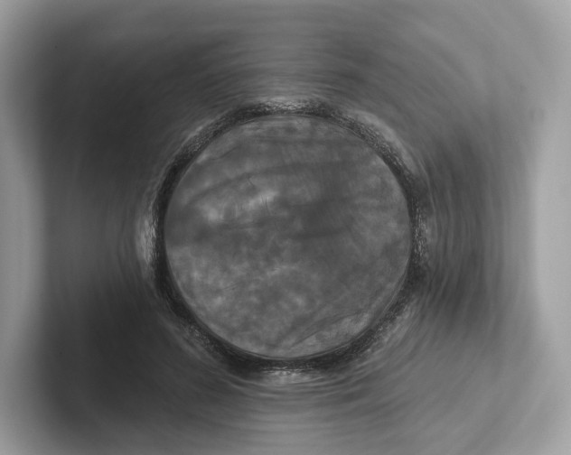 X0000101450596200807280941