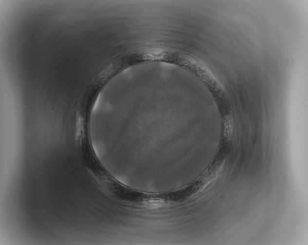 X0000101450598200807280941