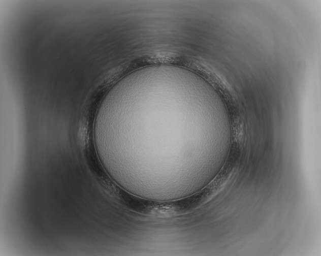 X0000101450599200807280941