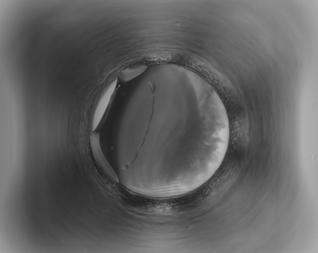 X0000101450600200807280941