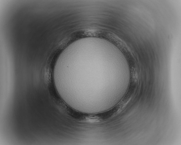 X0000101450603200807280941