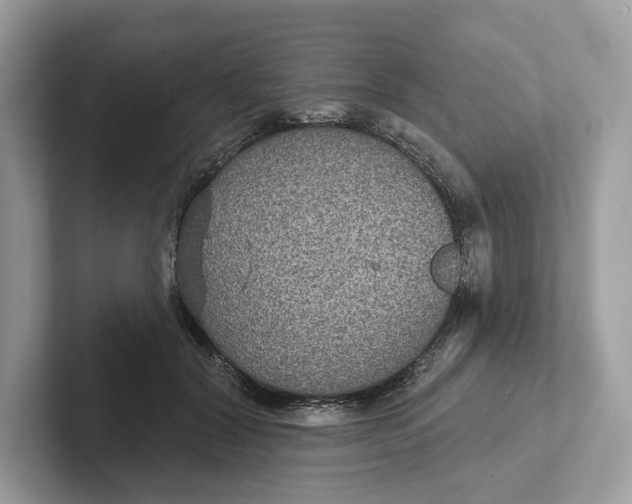 X0000101450604200807280941