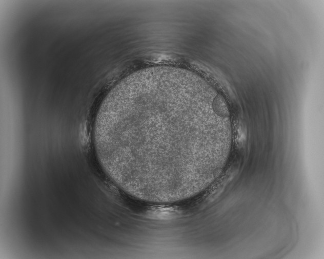 X0000101450607200807280941