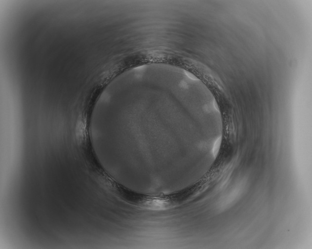 X0000101450610200807280941