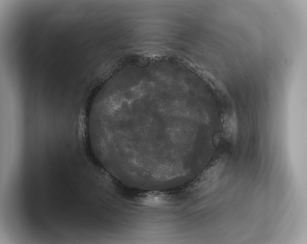 X0000101450612200807280941