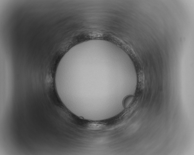 X0000101450614200807280941