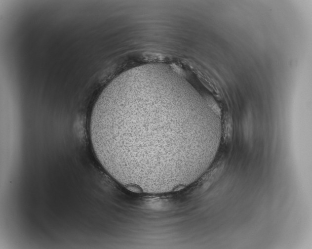 X0000101450616200807280940