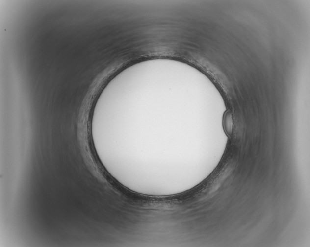 X0000101450625200807280940