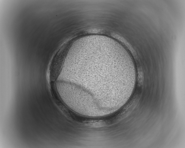 X0000101450626200807280940