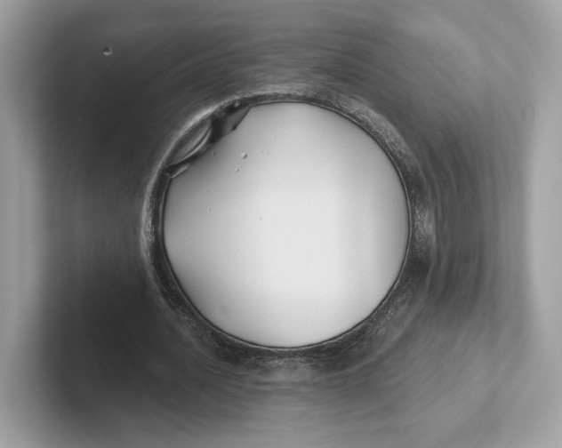 X0000101450628200807280940