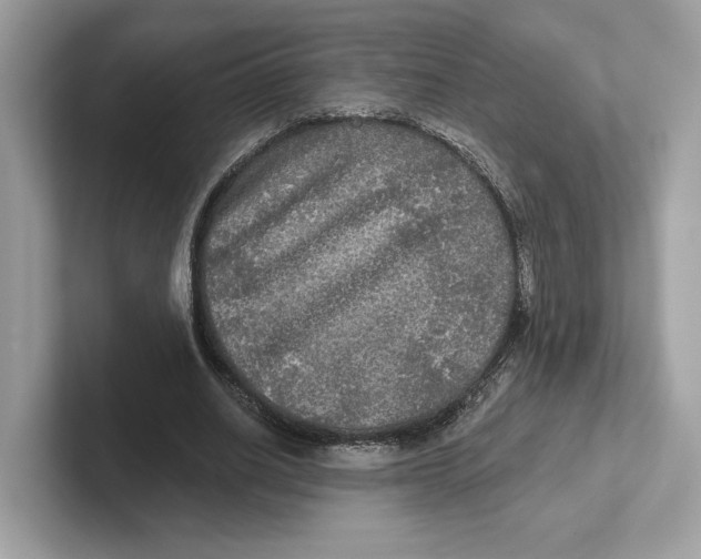 X0000101450630200807280940