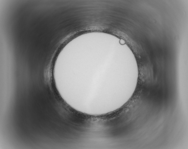 X0000101450632200807280940