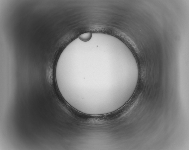 X0000101450633200807280940