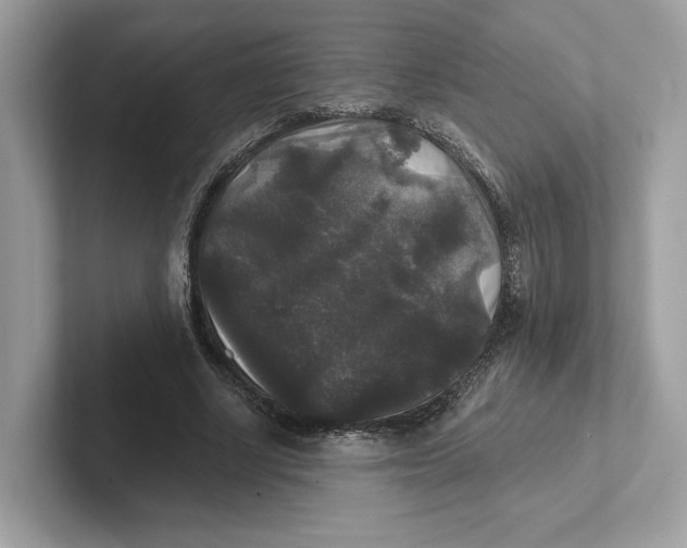 X0000101450634200807280940