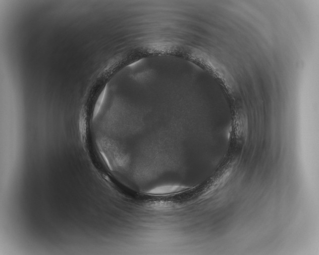 X0000101450637200807280940