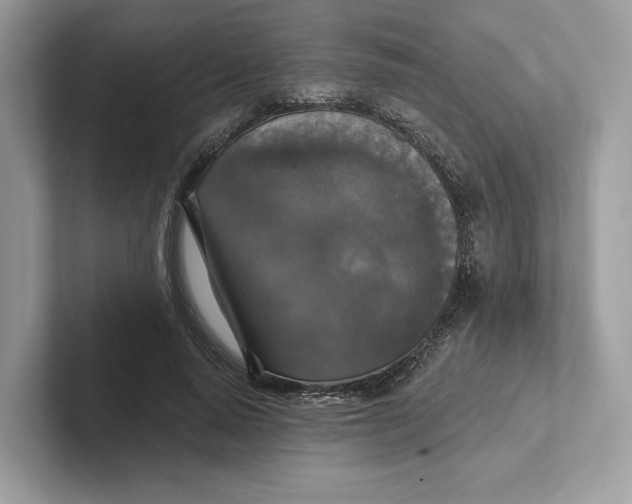 X0000101450640200807280940