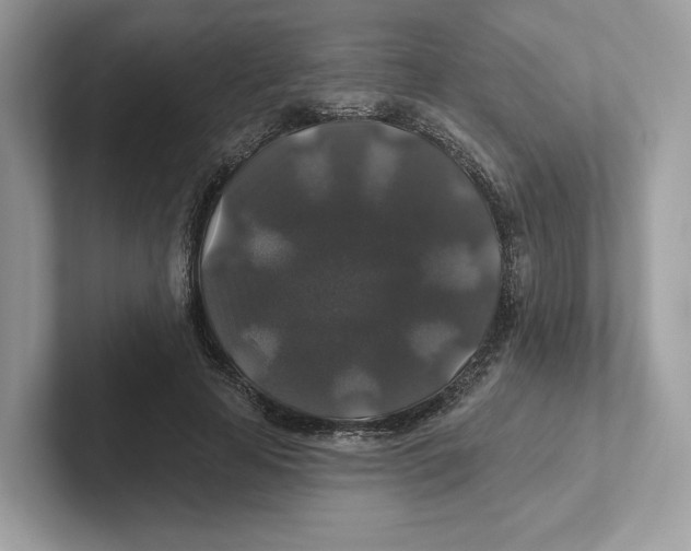 X0000101450641200807280940