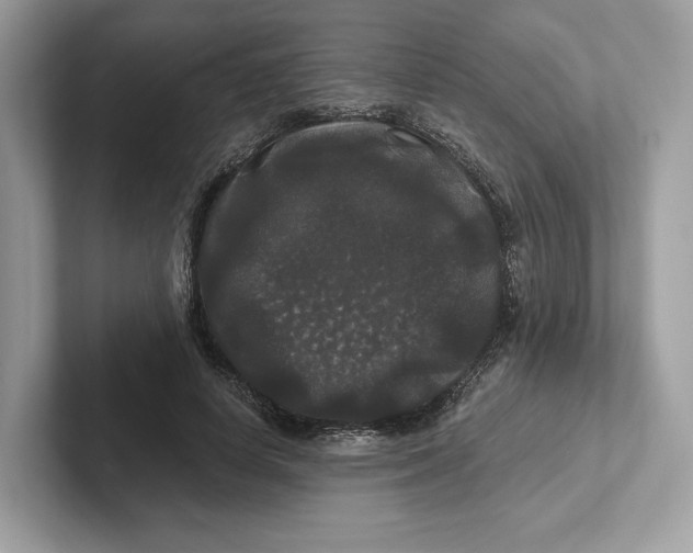 X0000101450642200807280940