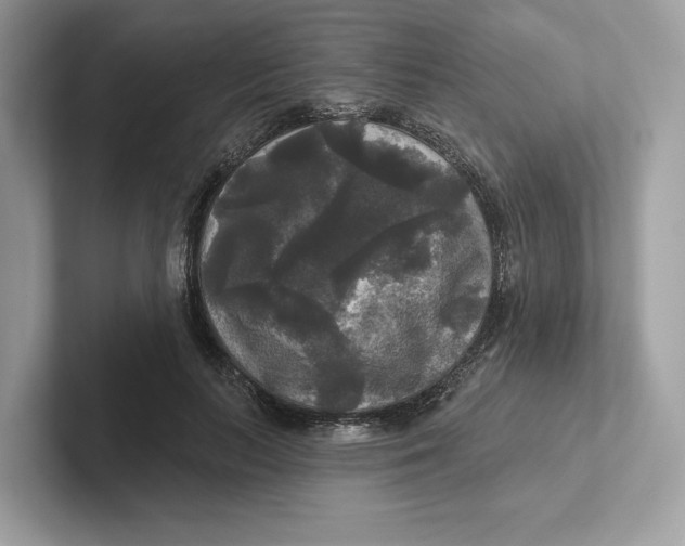 X0000101450647200807280940