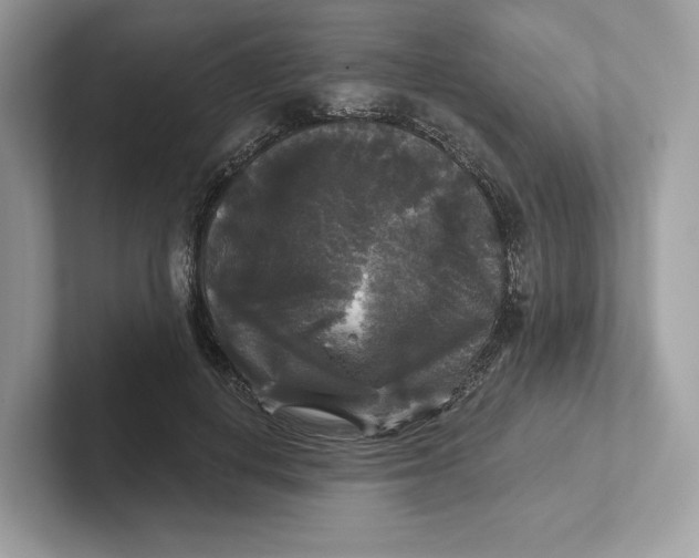 X0000101450648200807280940