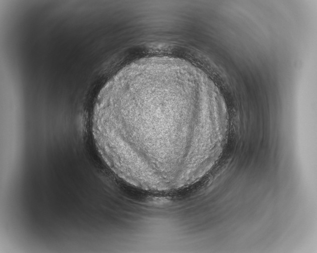 X0000101450649200807280940