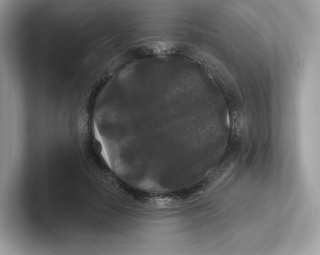 X0000101450650200807280940