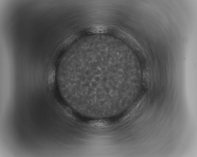 X0000101450652200807280940