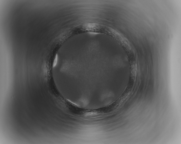 X0000101450653200807280940