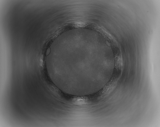 X0000101450655200807280940