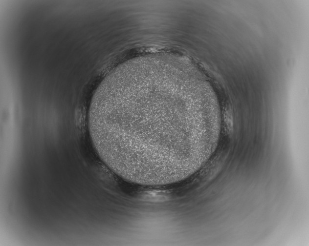 X0000101450657200807280940