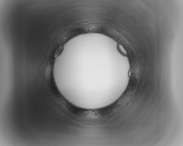 X0000101450660200807280940