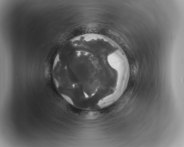 X0000101450663200807280940