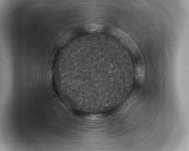 X0000101450664200807280940